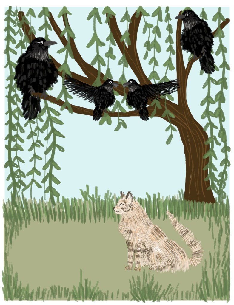 Leo and the crows